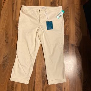 Market & Spruce Capris